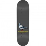 antihero board pigeon team (grey) 8.25