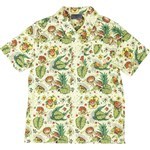 antihero shirt short sleeves grimple camper (multi)