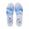 Raffle NIKE SB Dunk Low Pro Nicole Hause