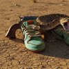 Raffle NIKE SB Dunk Low Pro QS Tourmaline