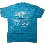 emerica tee shirt stay gold (turquoise)