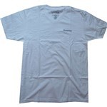 emerica tee shirt v neck pure (white)