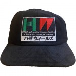 haze cap 6 panel cord md (black)