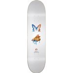 magenta board butterfly hugo maillard 8.375