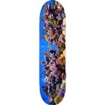 mini logo board fin fur feather 18 fish tank team 7.75