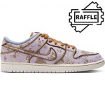 nike sb shoes dunk low premium city of style