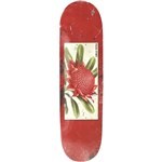 passport board tin floral waratah team 8