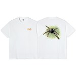 polar tee shirt green spider (white)