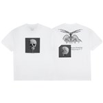 polar tee shirt morphology (white)