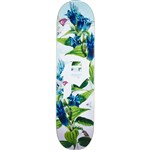 primitive board dirty p humming team 8