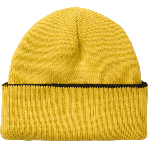 vans beanie skate andrew allen (black)