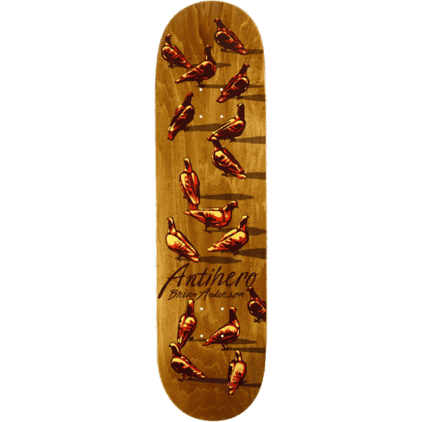 antihero board dawn of the pigeon brian anderson 8.88