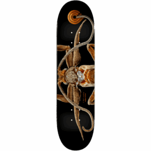 powell peralta board ps biss marion moth 8.25