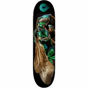 powell peralta board ps biss orchid cuckoo bee 8