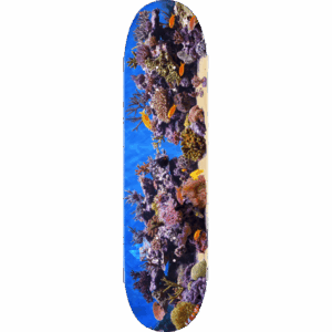 mini logo board fin fur feather 18 fish tank 8.5