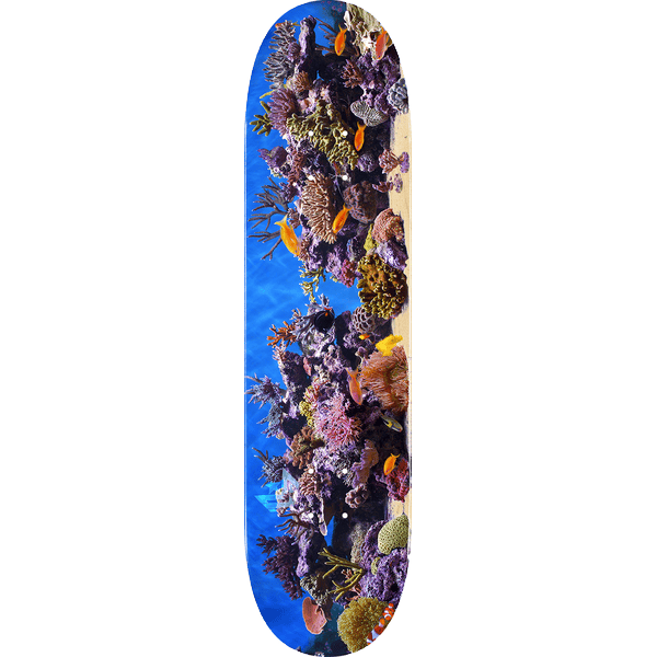 mini logo board fin fur feather 18 fish tank 8.5 mini logo board fin fur feather 18 fish tank 8.5