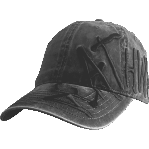 deathwish cap 6 panel framework (black)