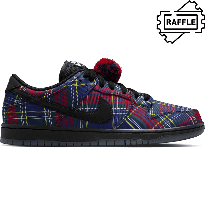 Shop nike sb shoes dunk low pro qs nardwuar online | BUD Skateshop