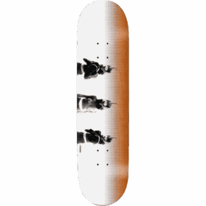 rassvet board undefeated 8.5
