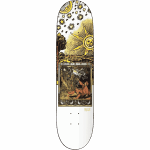 olé board ft1 the day 8.5