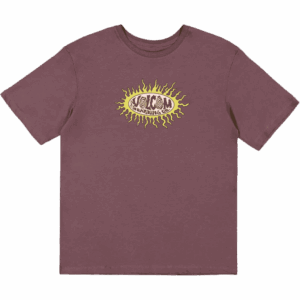 volcom tee shirt lse sunster (pistol punch)