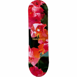 olé board orchid 8.5
