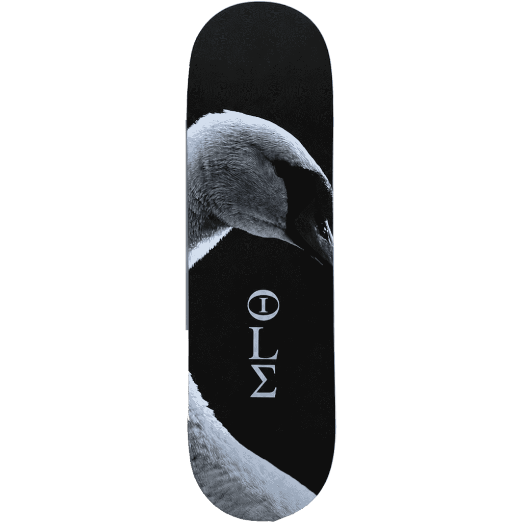 olé board the swamp 8.5 olé board the swamp 8.5