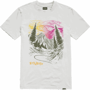 etnies tee shirt rp sunset (white)