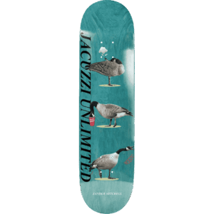 jacuzzi board geese zander mitchell 8.25