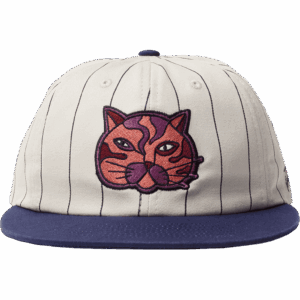 parra cap snapback earl face (blue)