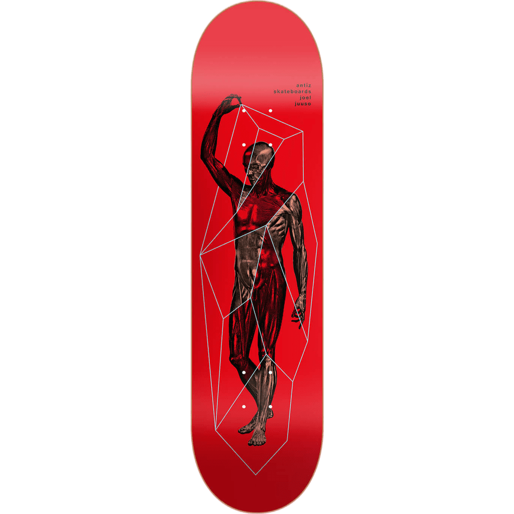antiz board joel juuso 8.25 antiz board joel juuso 8.25